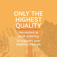 Load image into Gallery viewer, Host Defense, Cordyceps Capsules, Energy and Stamina Support, Mushroom Supplement, Unflavored, 120