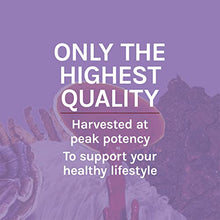 Load image into Gallery viewer, Host Defense, Lion's Mane Capsules, Promotes Mental Clarity, Focus and Memory, Mushroom Supplement, Unflavored, 120