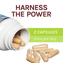 Load image into Gallery viewer, Host Defense, Maitake Capsules, Mushroom Supplement, Unflavored, 60