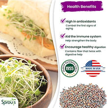Load image into Gallery viewer, Nature Jims Sprouts Broccoli Sprout Seeds - Certified Organic Broccoli Sprouting Seeds for Indoor/Outdoor Use - Rich in Sulforaphane Healthy, Nutritious Broccoli Seeds Sprout in 5 Days - 8oz