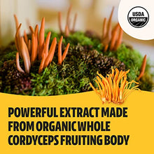 Load image into Gallery viewer, FreshCap Organic Cordyceps Mushroom Extract Powder Supplement - For Natural Energy, Exercise Performance & Endurance - Vegan, Pure Fruiting Body Extract - Add to Coffee/Tea/Smoothies - 2.1 Ounce (60g)