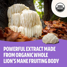 Load image into Gallery viewer, FreshCap Lions Mane Powder Supplement - Organic Brain Supplements for Memory, Focus, Cognition & Mental Clarity - Add to Coffee/Tea/Smoothies - 60 Grams