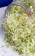 Load image into Gallery viewer, 4 pack Mason jar Sprouting Lids wide mouth- stainless steel sprouting lids for wide mouth mason jars, growing Bean, Broccoli, seed