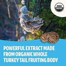 Load image into Gallery viewer, FreshCap Organic Turkey Tail Mushroom Extract Powder - USDA Organic -60 g- Supplement - Immune Protection - Add to Coffee/Tea/Smoothies-Real Fruiting Body No Fillers