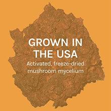 Load image into Gallery viewer, Host Defense, Chaga Capsules, Antioxidant and DNA Support, Mushroom Supplement, Unflavored, 120