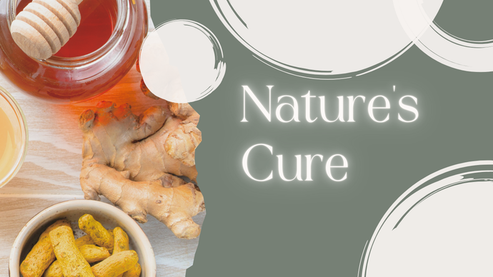 Cancer Fighting Recipe: Turmeric, Ginger, Garlic, Lemon, Raw Honey, Olive Oil & Black Pepper.